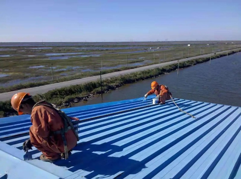 蚌埠钢结构屋面漏水原因